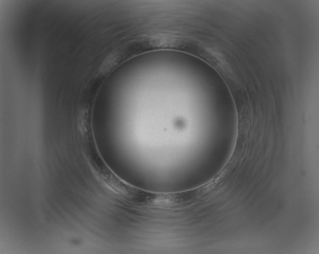 X0000073990171200608211357