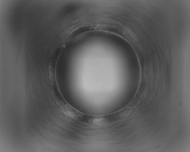 X0000073990173200608211357