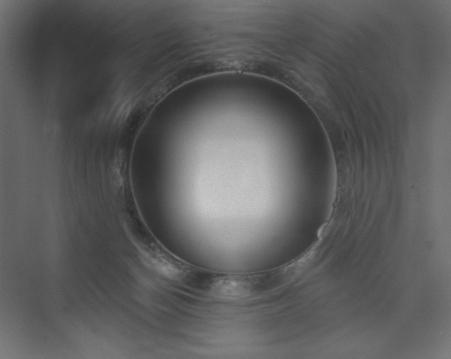 X0000073990174200608211357