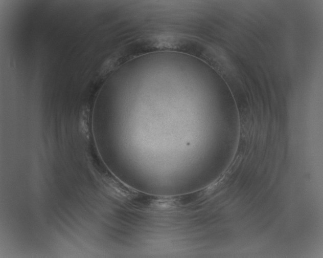 X0000073990175200608211357