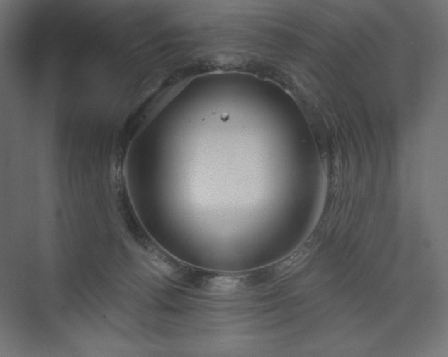 X0000073990176200608211357