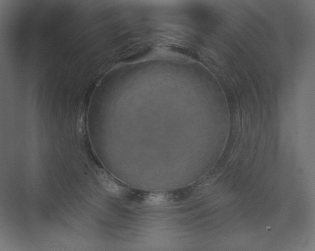 X0000073990177200608211357