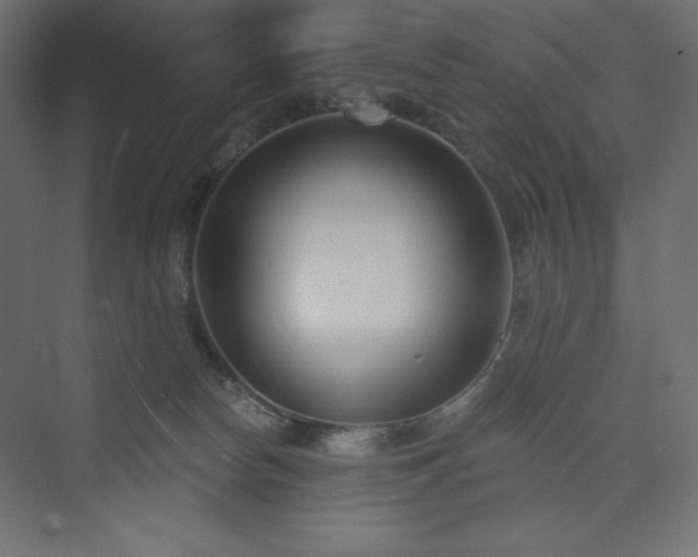 X0000073990178200608211357