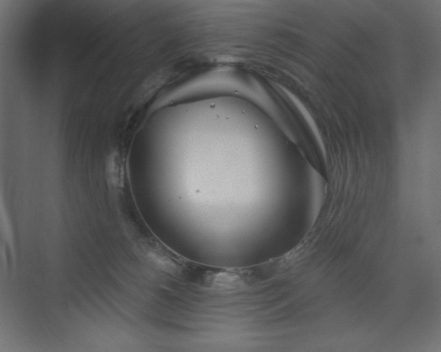 X0000073990180200608211357