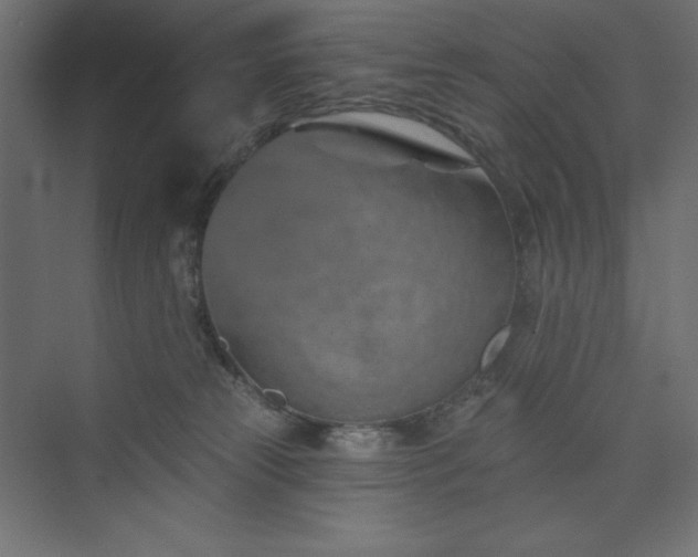 X0000073990181200608211357