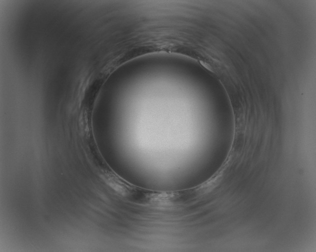 X0000073990182200608211357