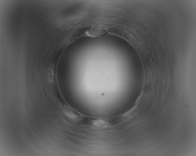 X0000073990183200608211357