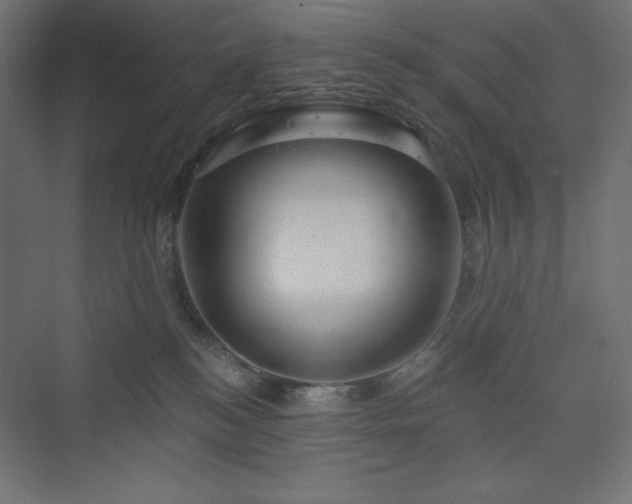 X0000073990184200608211357