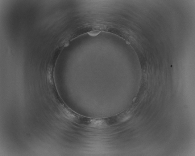 X0000073990185200608211357