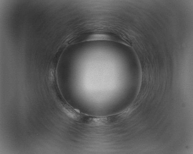 X0000073990188200608211357