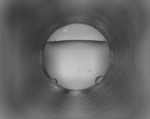 X0000073990189200608211357