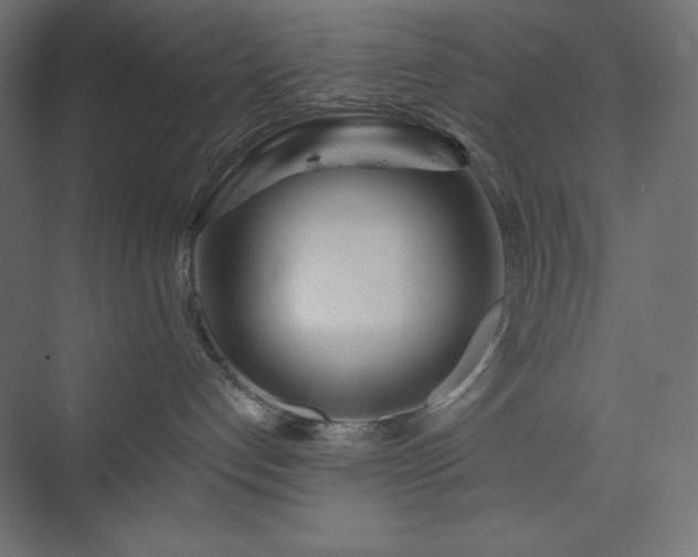 X0000073990192200608211357