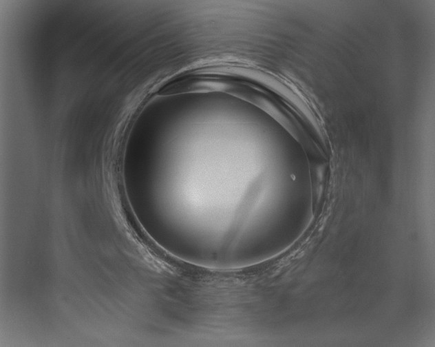 X0000073990193200608211357