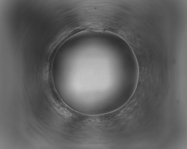 X0000073990194200608211357