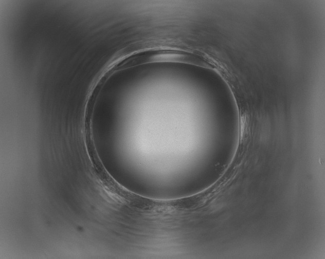 X0000073990195200608211357