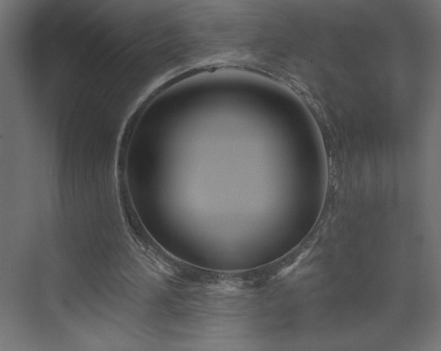 X0000073990196200608211357