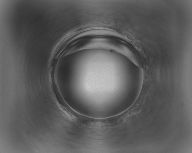 X0000073990197200608211357