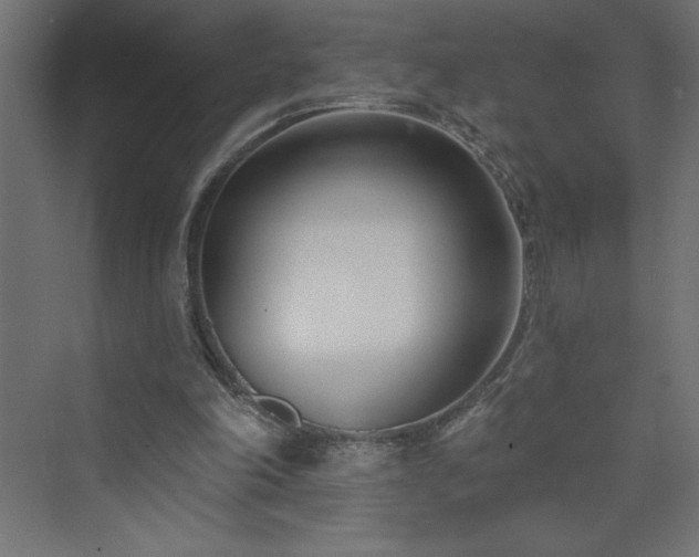 X0000073990198200608211357