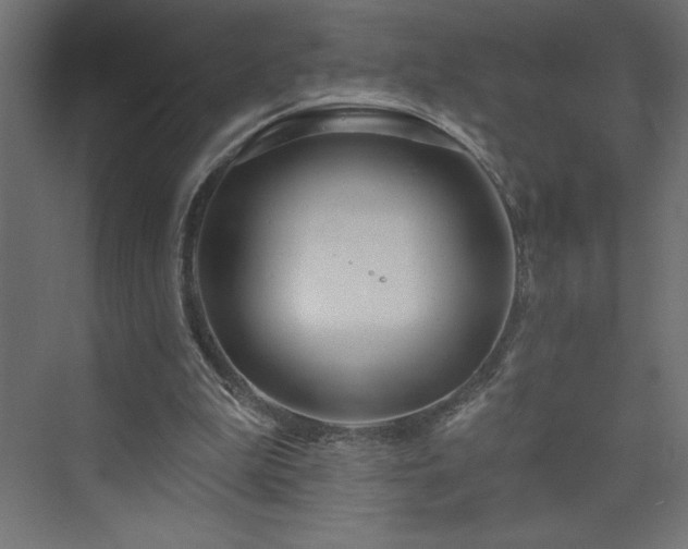 X0000073990199200608211357