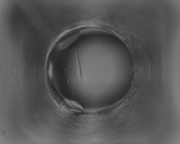 X0000073990200200608211357