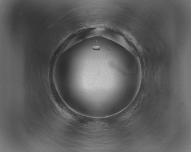 X0000073990201200608211356