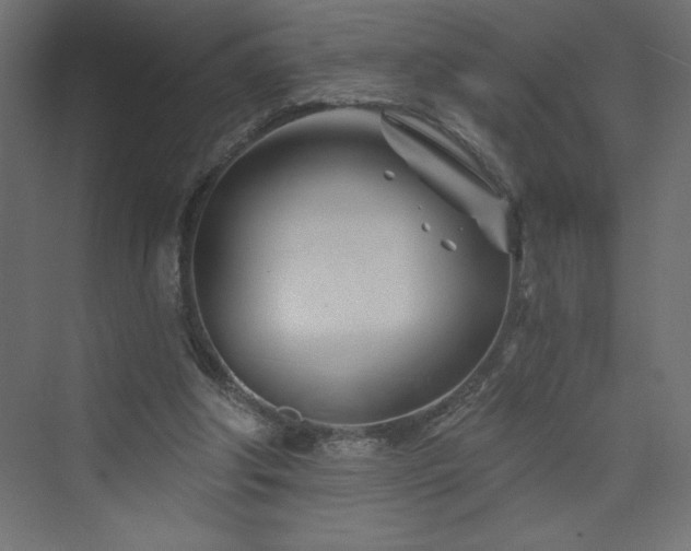 X0000073990202200608211356