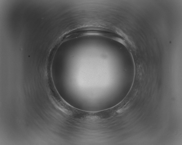 X0000073990203200608211356