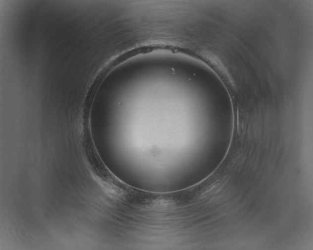 X0000073990204200608211356