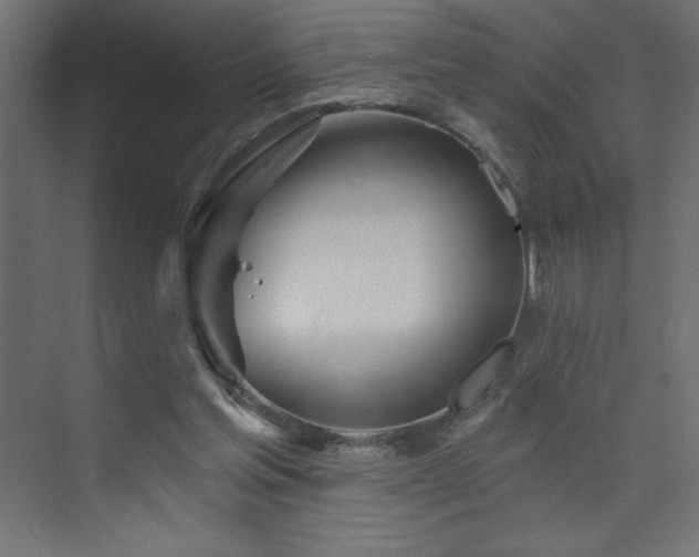 X0000073990205200608211356