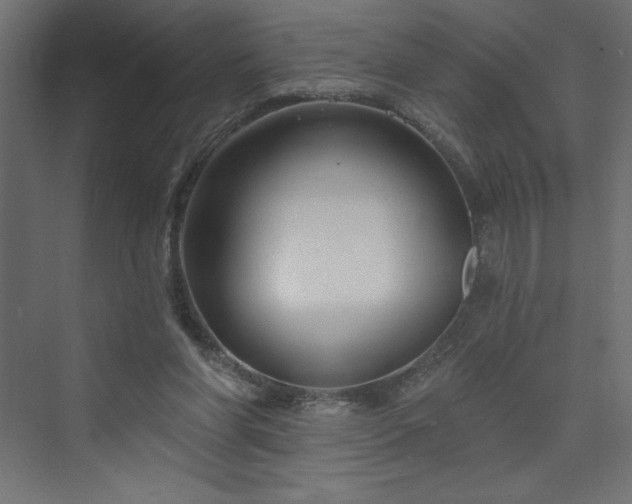 X0000073990206200608211356