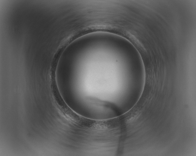 X0000073990207200608211356