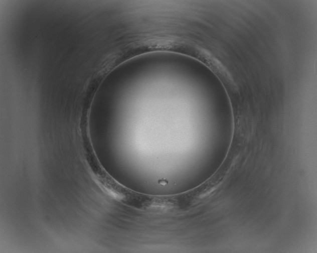 X0000073990209200608211356