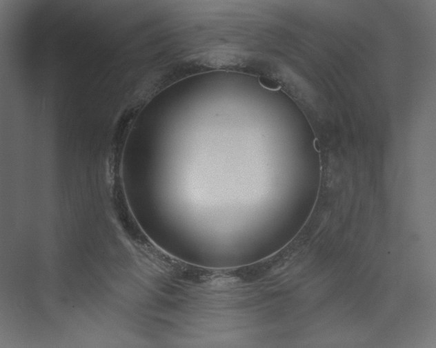 X0000073990210200608211356