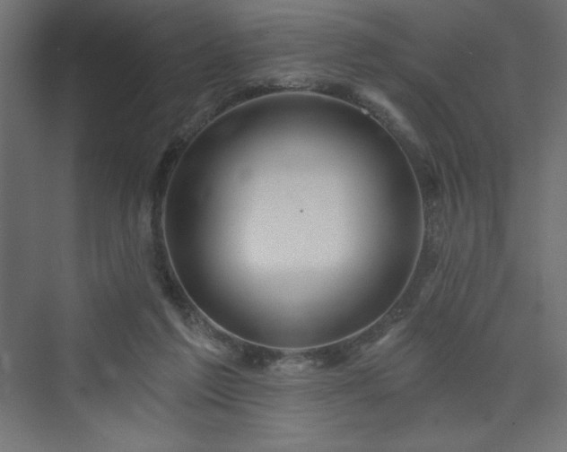 X0000073990213200608211356