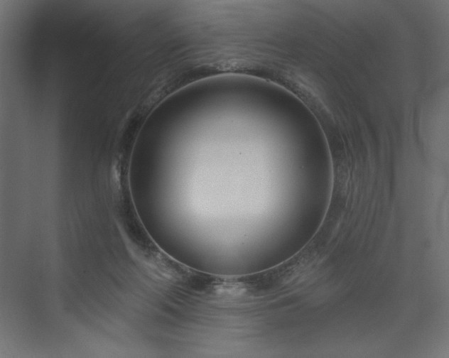 X0000073990214200608211356