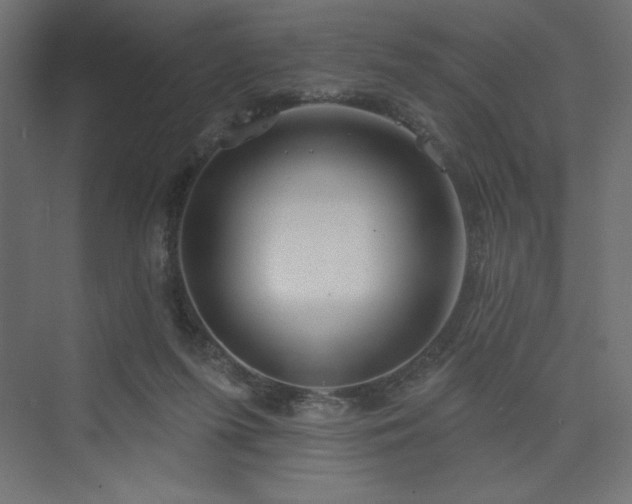 X0000073990215200608211356