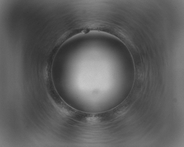 X0000073990216200608211356