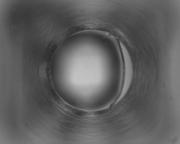 X0000073990217200608211356