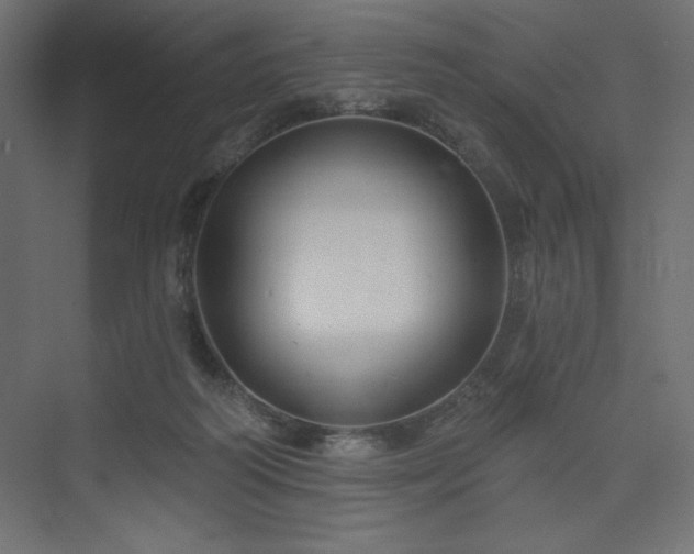 X0000073990218200608211356