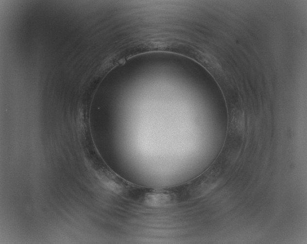 X0000073990220200608211356