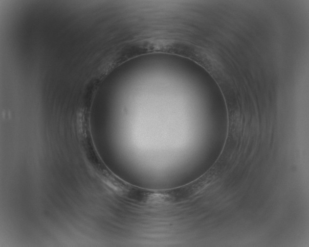 X0000073990222200608211356