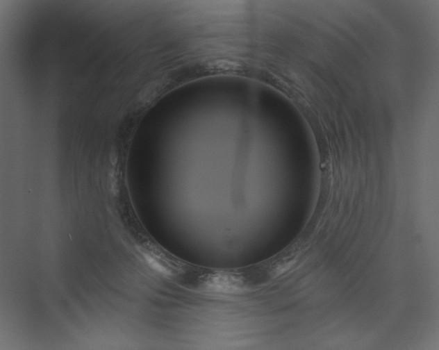 X0000073990223200608211356