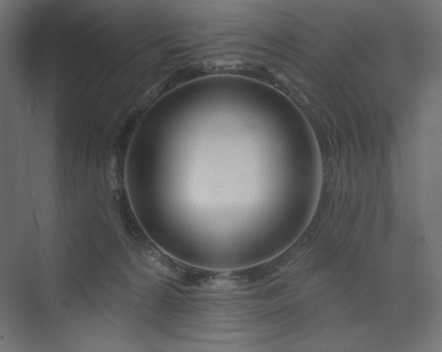 X0000073990224200608211356