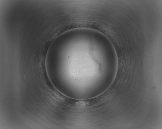 X0000073990225200608211356