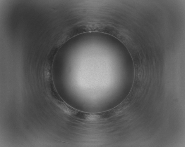 X0000073990226200608211356