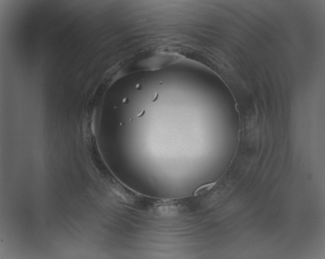 X0000073990228200608211356