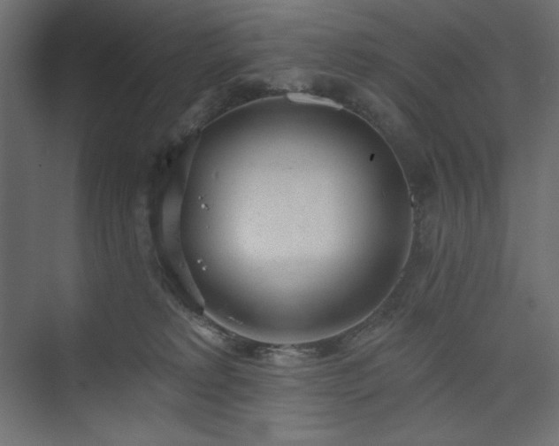 X0000073990229200608211356