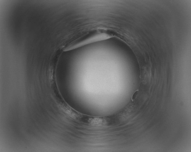 X0000073990230200608211356