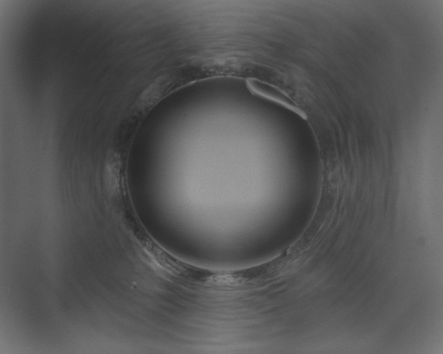 X0000073990231200608211356