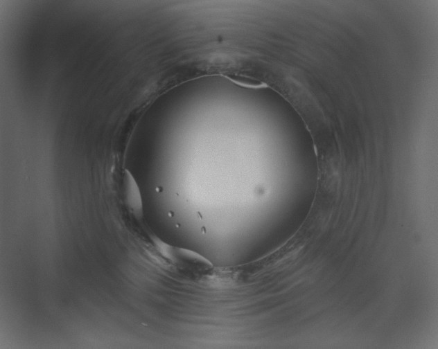 X0000073990232200608211356